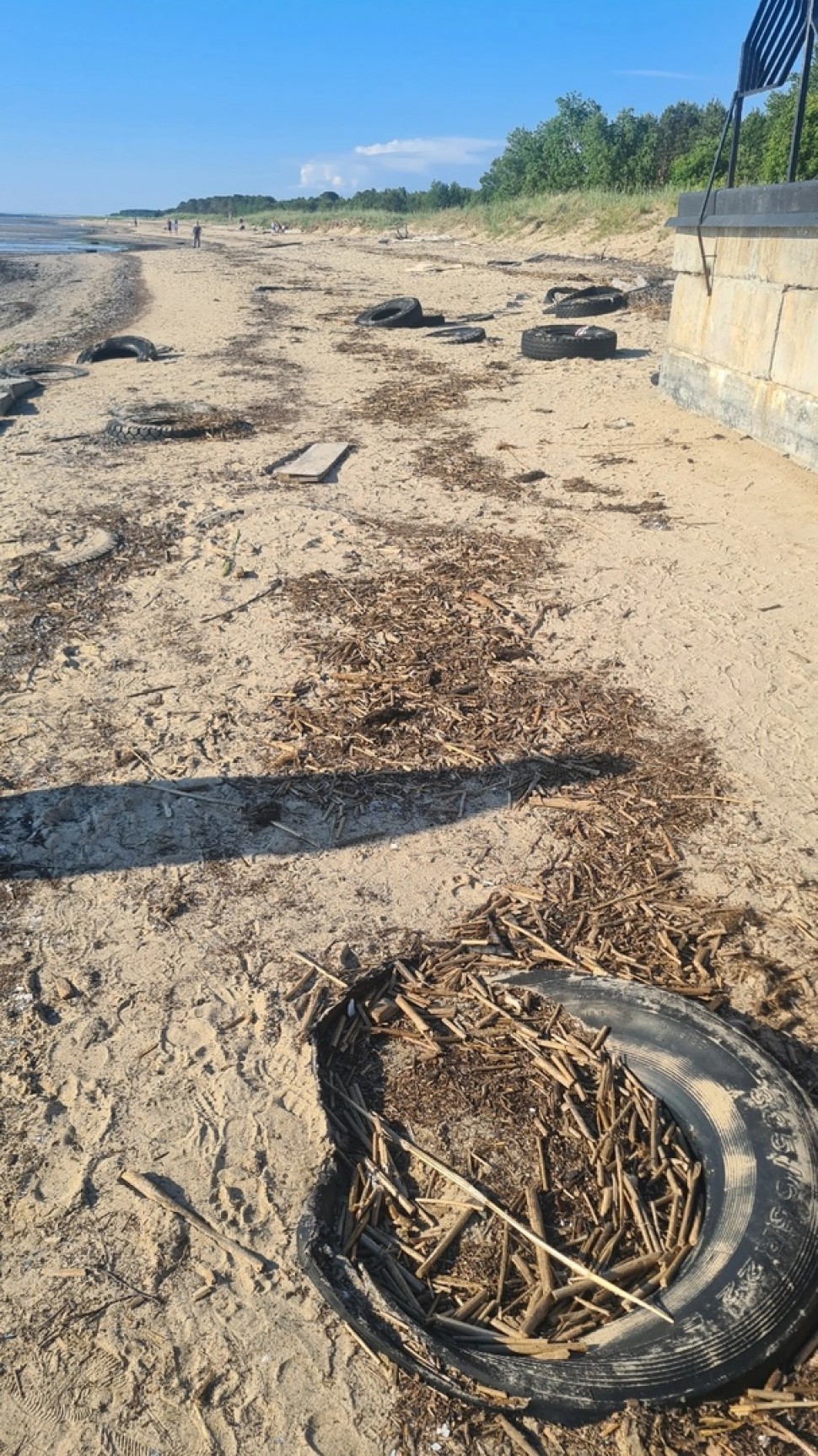 В Северодвинске на пляже насчитали 200 выброшенных покрышек
